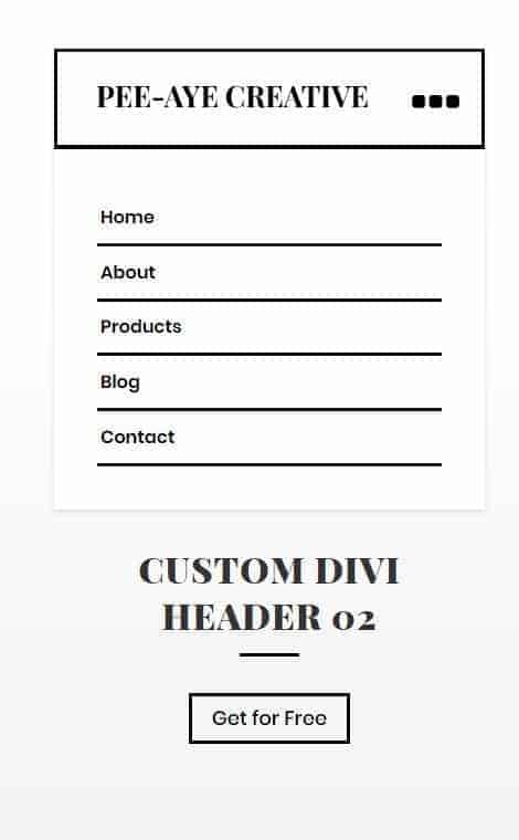 custom divi header