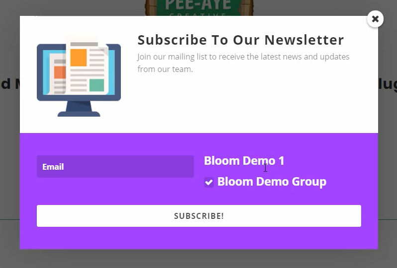showing the custom field in Bloom for Mailchimp groups