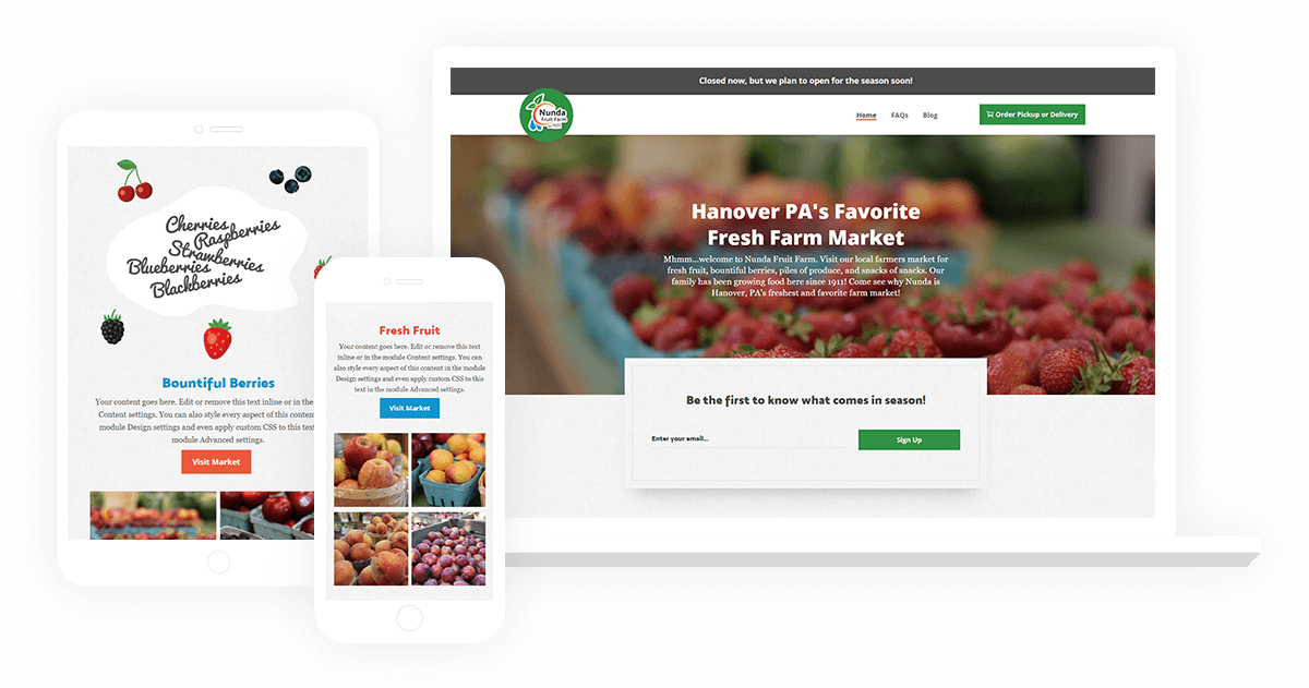 Nunda Fruit Farm Hanover PA Website Design in Pennsylvania by Pee-Aye Creative