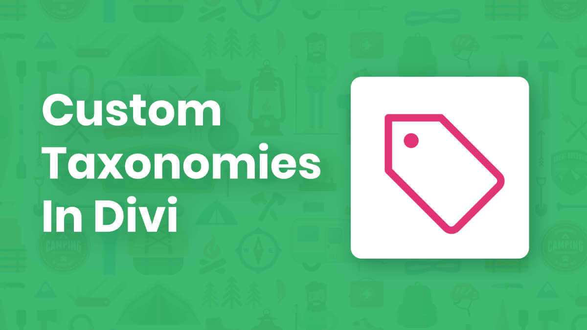 How To Create And Use Custom Taxonomies In Divi Tutorial by Pee Aye Creative