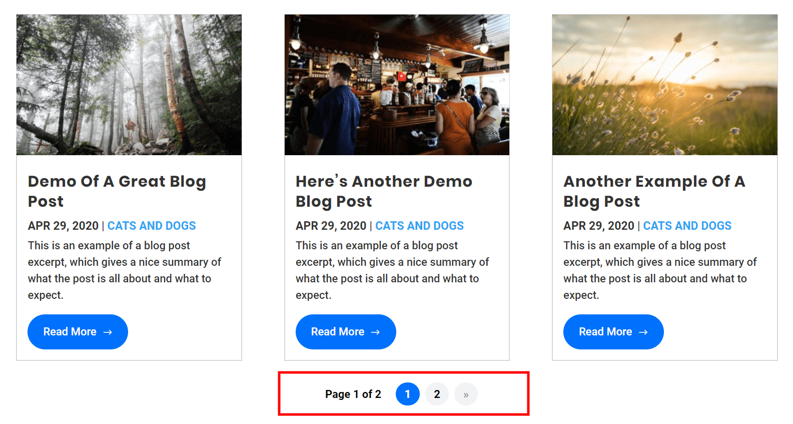 Divi blog pagination with the WP PageNavi plugin after adding the CSS customization