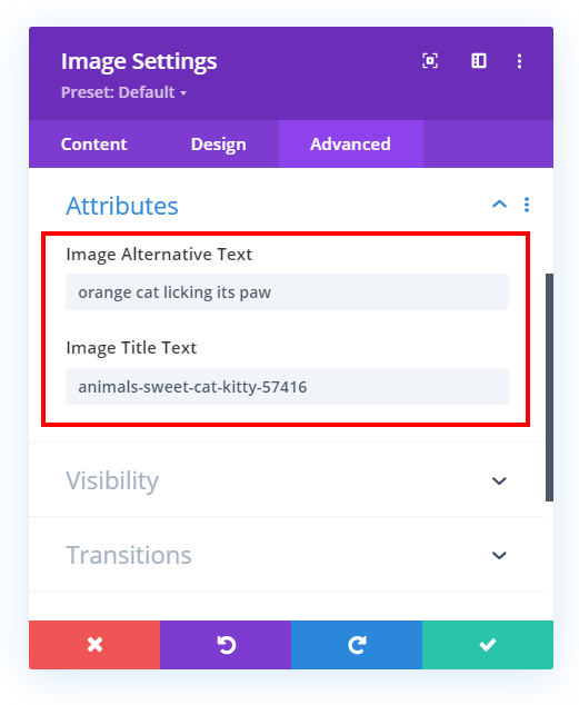Divi image module automatically showing the SEO alt and title attributes