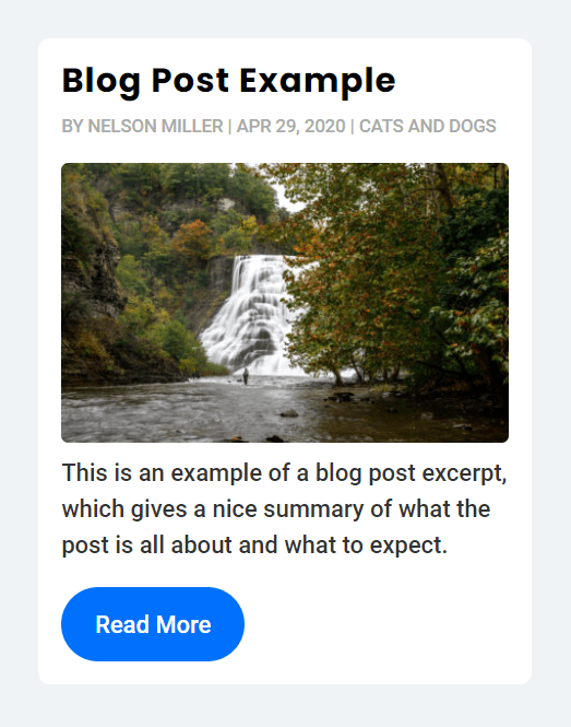Divi blog post with title meta image excerpt button