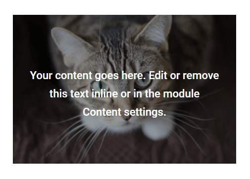 add a Divi Text module over an image module