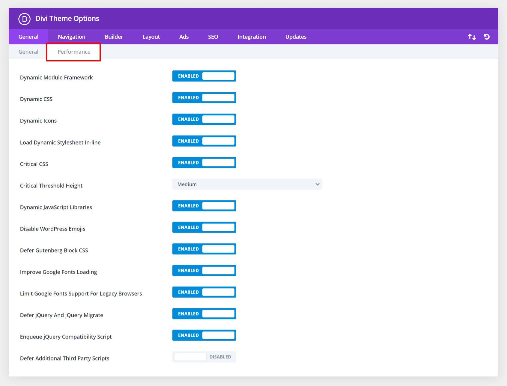 new performance tab in Divi Theme Options
