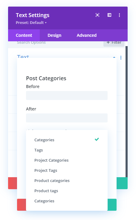category type options in Divi dynamic content for post categories